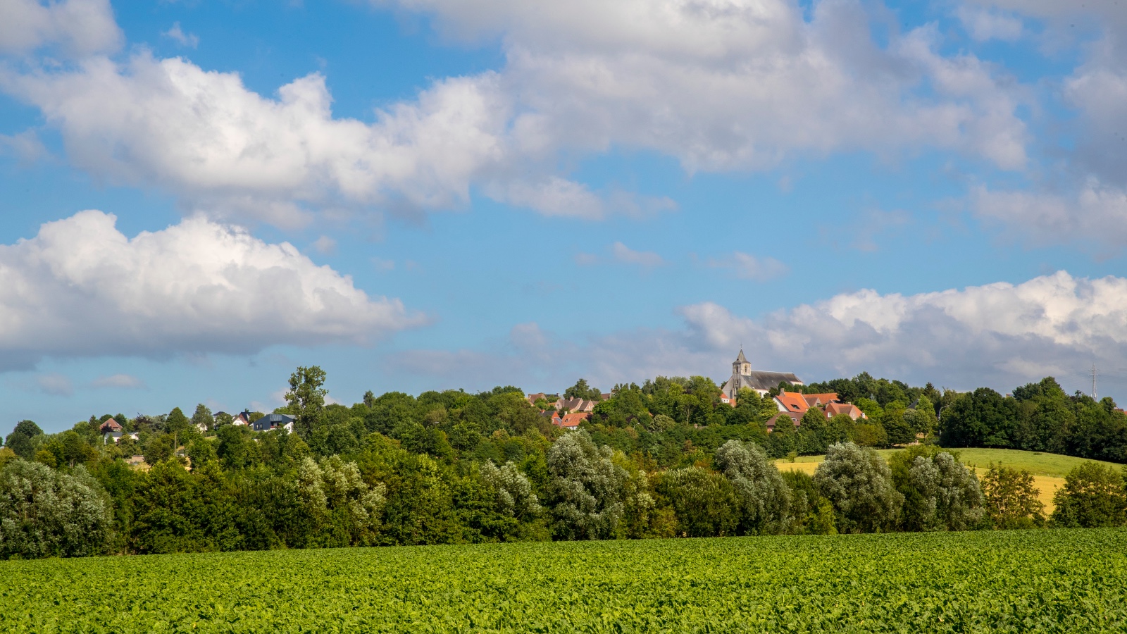 Welkom Kluisbergenaar