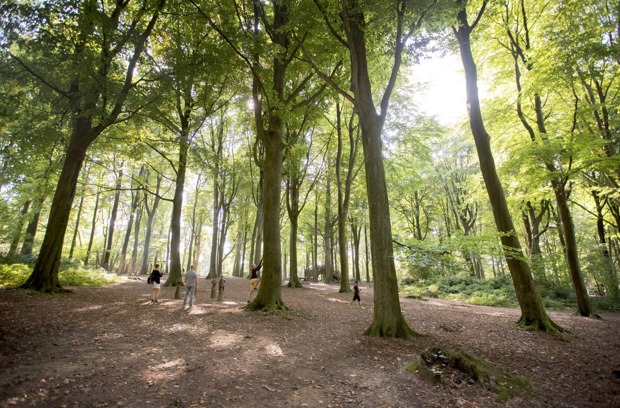 Gemeenschap in Kluisbergen - mensen samen in de natuur